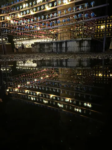 水面に映る光の万華鏡