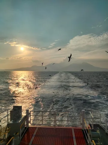 波と鳥と夕陽の船旅