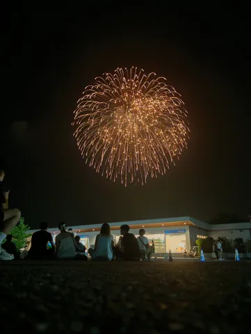 夜空を彩る大輪の花火、夏の思い出