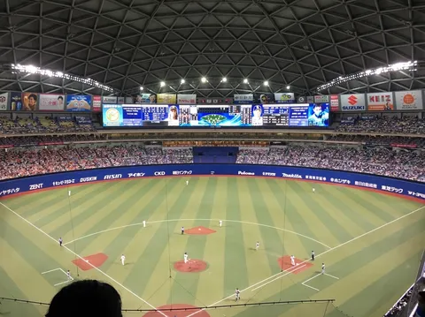 ドーム球場の熱気と静寂