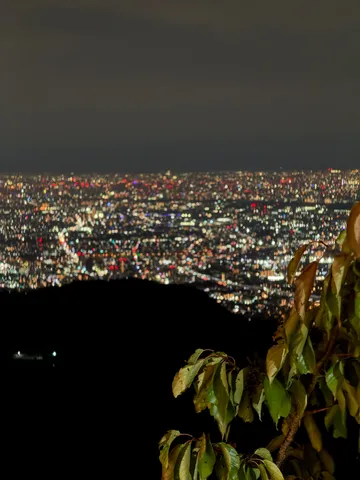 夜景のゆらぐ灯の海