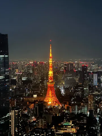 夜景のセンターは私です