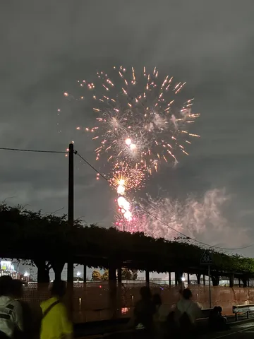 夜空に咲く、華麗なる光の芸術