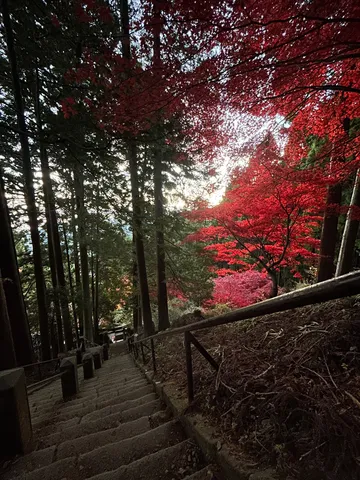 鮮やかな紅葉の石段風景