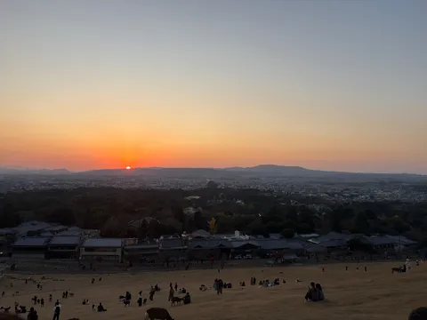 夕暮れの街と鹿、穏やかな時間
