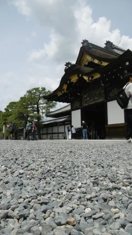 砂利の道から見上げる雅