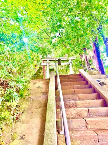 苔むす階段と森の入口