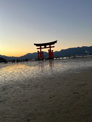 夕陽に染まる鳥居、水面に映る影