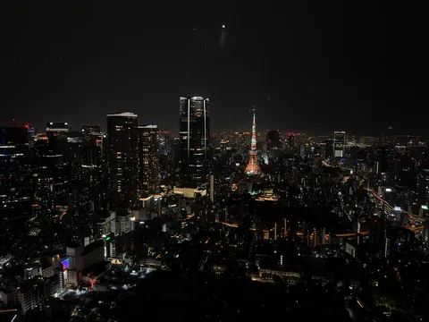 東京の夜景、煌めく光の絨毯