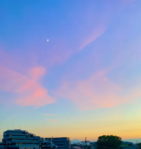 月もピンクに染まる空