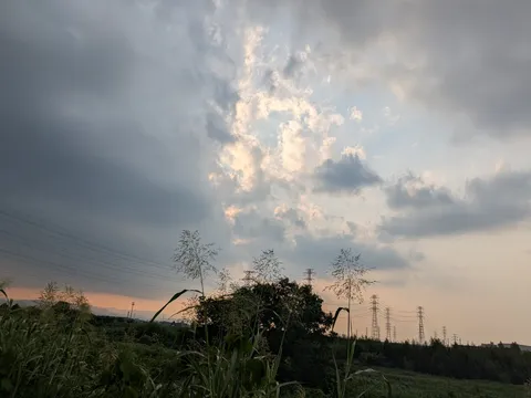 広がる空と電線、農村の趣