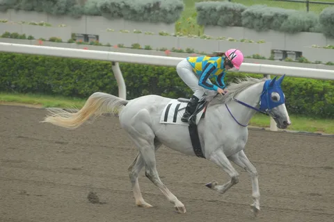 風を切る白馬と色の詩