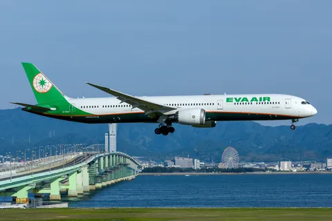 空に舞う、緑の翼