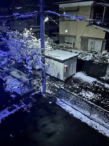 夜空の下、雪明かり