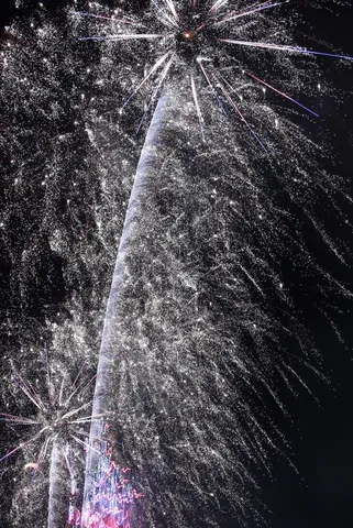 夜空に咲く光の華