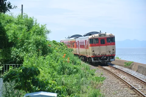 潮風と緑、そして列車