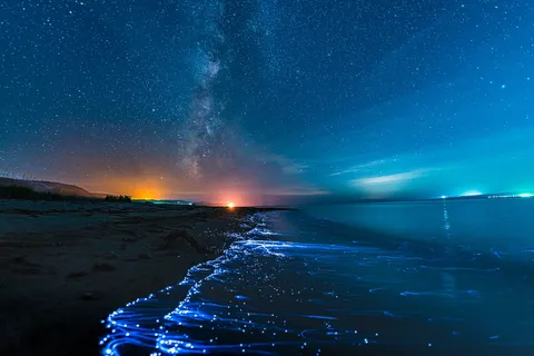 夜空と海の光の線