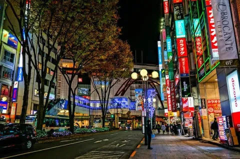 ネオン輝く、秋の夜の賑わい