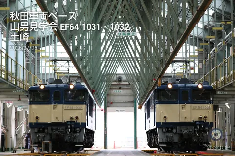 並ぶ重機の静かなる威厳