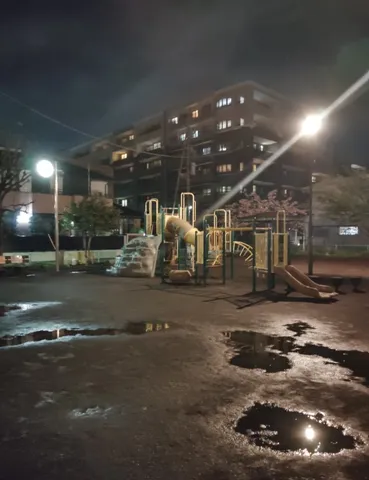 水面に映る、夜の公園の表情
