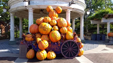 夢の回廊に灯る、ハロウィンの輝き