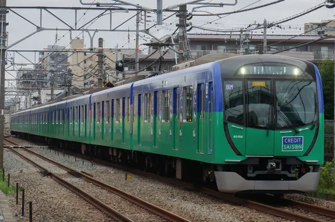 新緑と青空のコントラスト