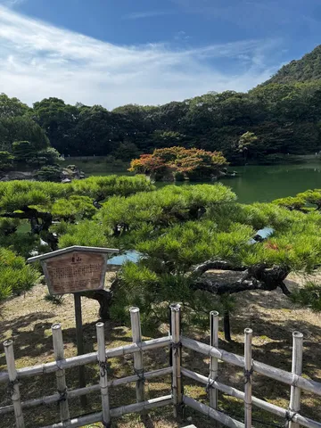 緑と紅葉、水辺の静寂