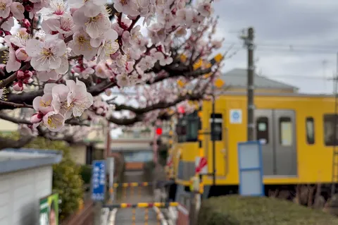 春を待つ、電車の音