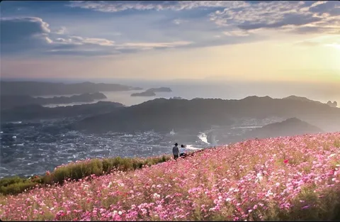 花畑の向こうに沈む光