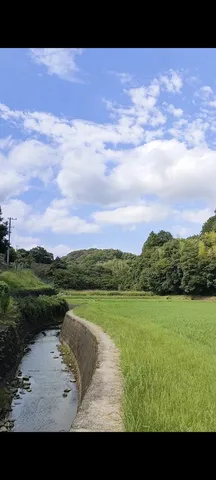 田んぼと小川の穏やかな風景