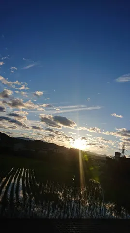 夕陽に照らされる田んぼの道