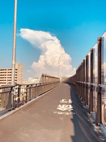 空駆ける雲と続く歩道