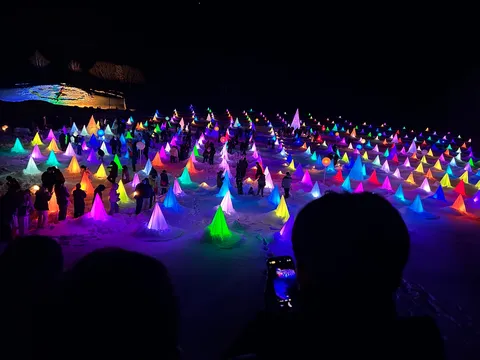 雪原に咲く光の花畑
