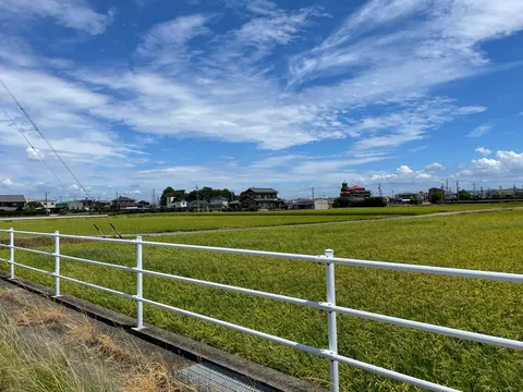 夏空と田園風景のコントラスト