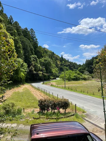 初夏の緑と緩やかな道