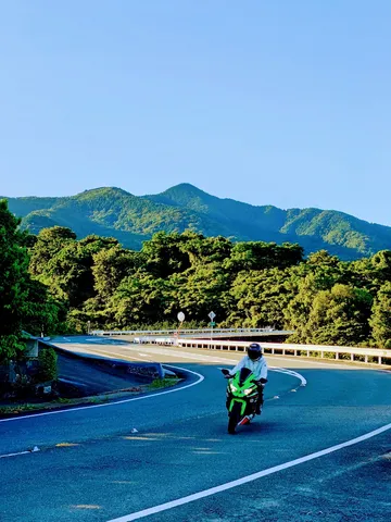 峠道へ突入する緑