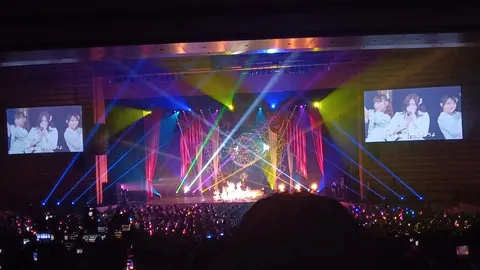 光と熱気に包まれるライブステージ