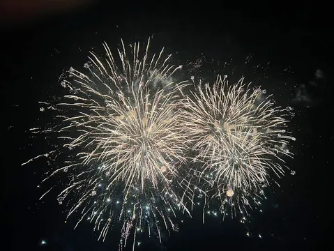 夜空を彩る光の花火