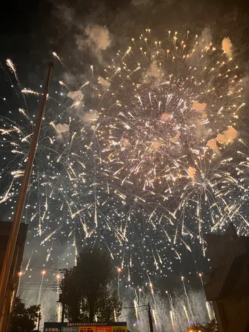 夜空を彩る光のシャワー