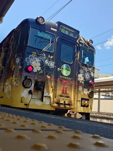 レトロ特急、彩り豊かな旅路