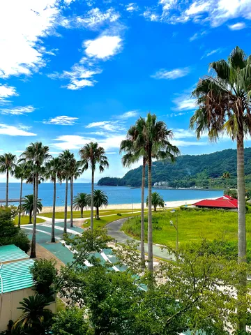 海へ続くヤシの道