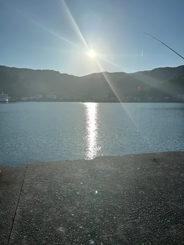 静かな波間に揺れる釣り糸