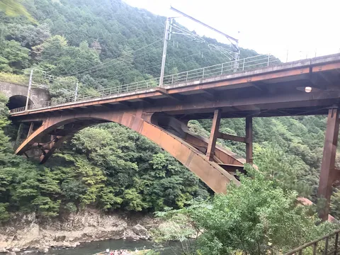 森を縫う鉄のアーチ