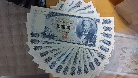 五百円札の扇、静かに広がる