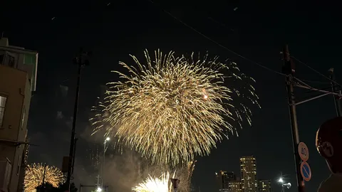 夜空を染める金の花火