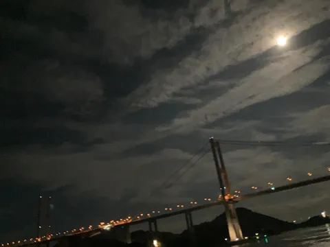 月光に照らされる夜の橋