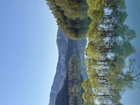 水面に映る新緑の森