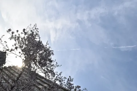 桜と光芒が美しい都会の空