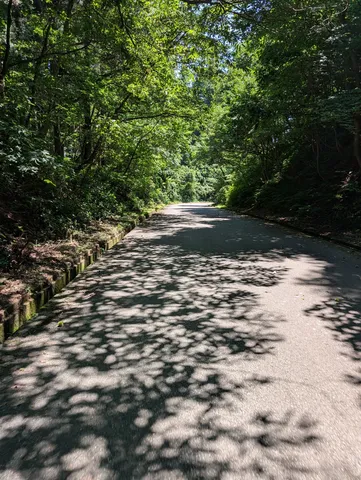 静かな光の散歩道