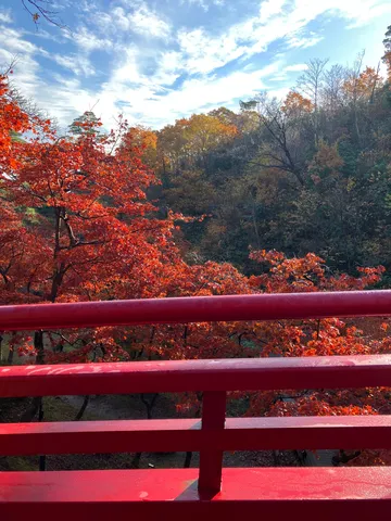 紅葉を縁取る赤い欄干